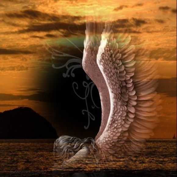 Meet your Posher, Natalie - Picture 1 of 1